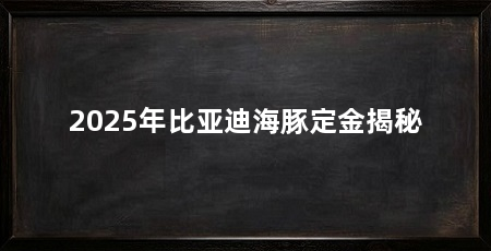 2025年比亚迪海豚定金揭秘