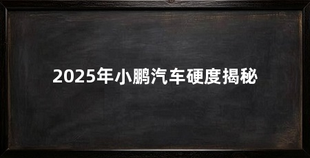 2025年小鹏汽车硬度揭秘