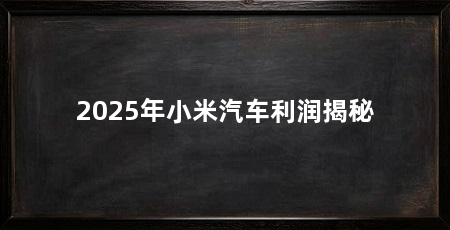 2025年小米汽车利润揭秘