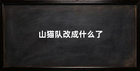 山猫队改成什么了