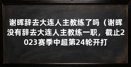 谢晖辞去大连人主教练了吗(谢晖没有辞去大连人主教练一职,截止2023赛季中超第24轮开打
