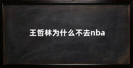 王哲林为什么不去nba