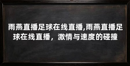 雨燕直播足球在线直播,雨燕直播足球在线直播,激情与速度的碰撞