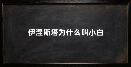 伊涅斯塔为什么叫小白