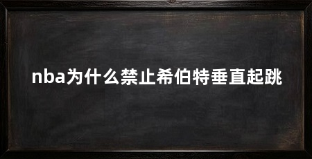 nba为什么禁止希伯特垂直起跳