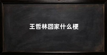 王哲林回家什么梗