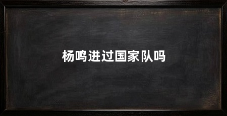 杨鸣进过国家队吗