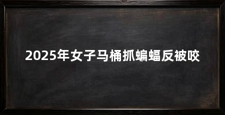 2025年女子马桶抓蝙蝠反被咬