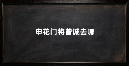 申花门将曾诚去哪