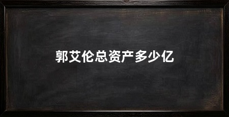郭艾伦总资产多少亿