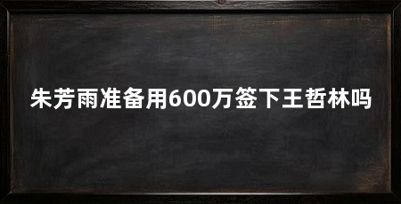 朱芳雨准备用600万签下王哲林吗