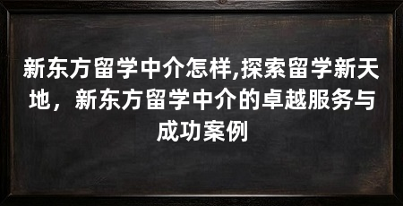 新东方留学中介怎样,探索留学新天地，新东方留学中介的卓越服务与成功案例
