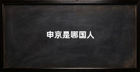 申京是哪国人