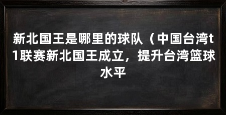 新北国王是哪里的球队(中国台湾t1联赛新北国王成立,提升台湾篮球水平