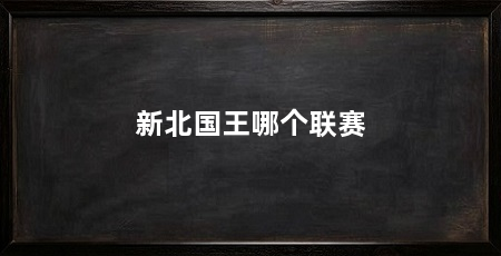 新北国王哪个联赛