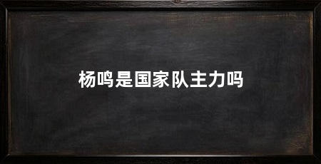 杨鸣是国家队主力吗