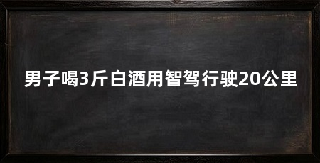 男子喝3斤白酒用智驾行驶20公里