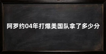 阿罗约04年打爆美国队拿了多少分