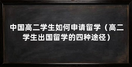 中国高二学生如何申请留学（高二学生出国留学的四种途径）