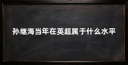 孙继海当年在英超属于什么水平