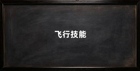 飞行技能