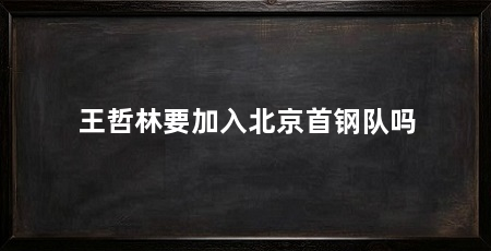 王哲林要加入北京首钢队吗