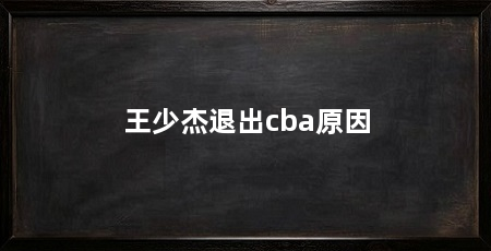 王少杰退出cba原因