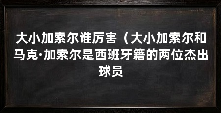 大小加索尔谁厉害（大小加索尔和马克·加索尔是西班牙籍的两位杰出球员