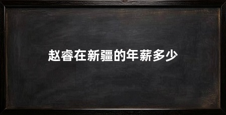 赵睿在新疆的年薪多少