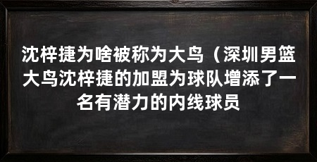 沈梓捷为啥被称为大鸟(深圳男篮大鸟沈梓捷的加盟为球队增添了一名有潜力的内线球员