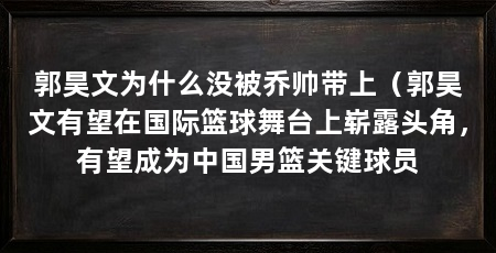 郭昊文为什么没被乔帅带上（郭昊文有望在国际篮球舞台上崭露头角，有望成为中国男篮关键球员