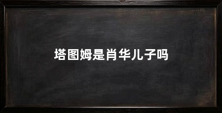 塔图姆是肖华儿子吗