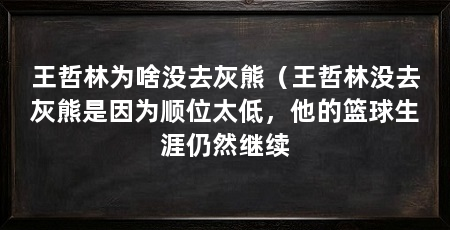 王哲林为啥没去灰熊（王哲林没去灰熊是因为顺位太低，他的篮球生涯仍然继续