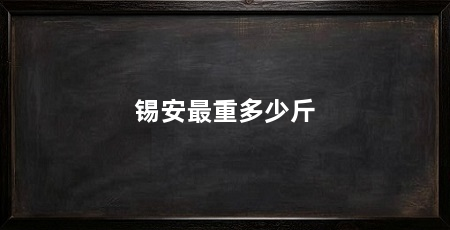 锡安最重多少斤