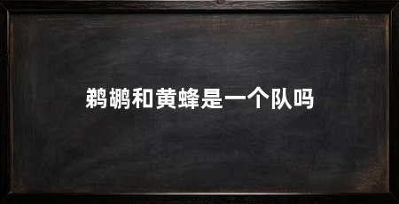 鹈鹕和黄蜂是一个队吗