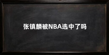 张镇麟被NBA选中了吗