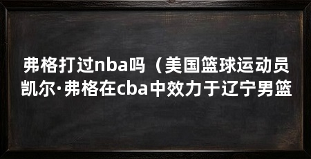 弗格打过nba吗（美国篮球运动员凯尔·弗格在cba中效力于辽宁男篮