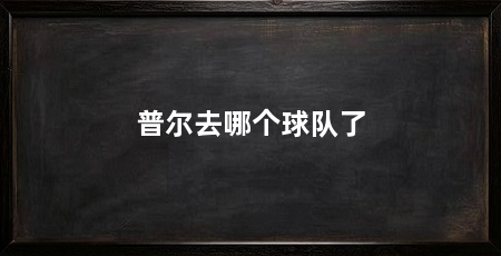 普尔去哪个球队了