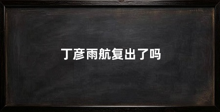丁彦雨航复出了吗