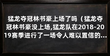 猛龙夺冠林书豪上场了吗（猛龙夺冠林书豪没上场,猛龙队在2018-2019赛季进行了一场令人难以置信的季后赛征程