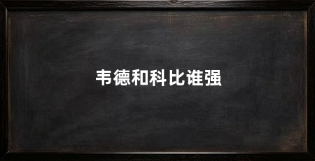 韦德和科比谁强