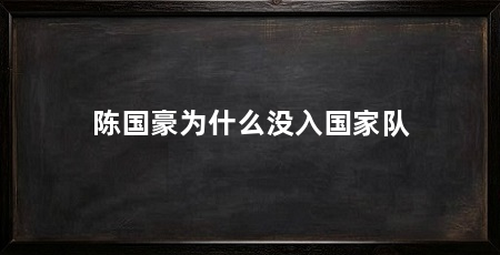 陈国豪为什么没入国家队