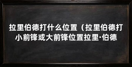 拉里伯德打什么位置（拉里伯德打小前锋或大前锋位置拉里·伯德