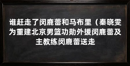 谁赶走了闵鹿蕾和马布里（秦晓雯为重建北京男篮功勋外援闵鹿蕾及主教练闵鹿蕾送走