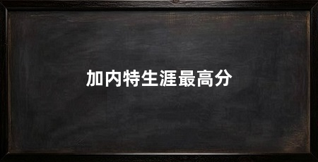 加内特生涯最高分
