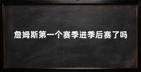 詹姆斯第一个赛季进季后赛了吗