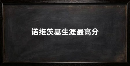 诺维茨基生涯最高分