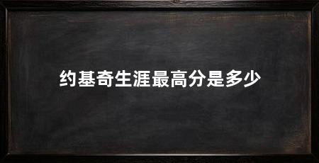 约基奇生涯最高分是多少
