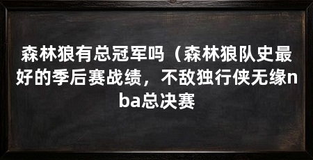 森林狼有总冠军吗（森林狼队史最好的季后赛战绩，不敌独行侠无缘nba总决赛