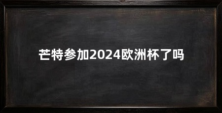 芒特参加2024欧洲杯了吗